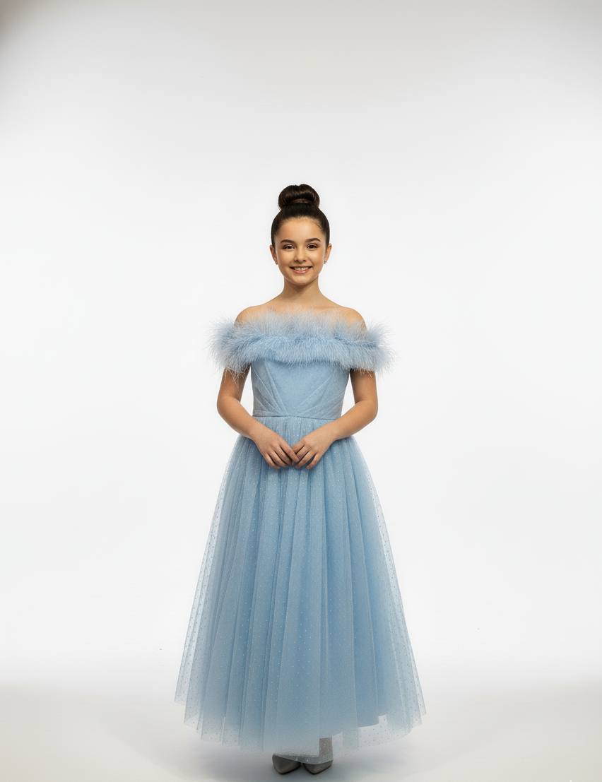 Off-Shoulder Feather Trim Tulle Gown