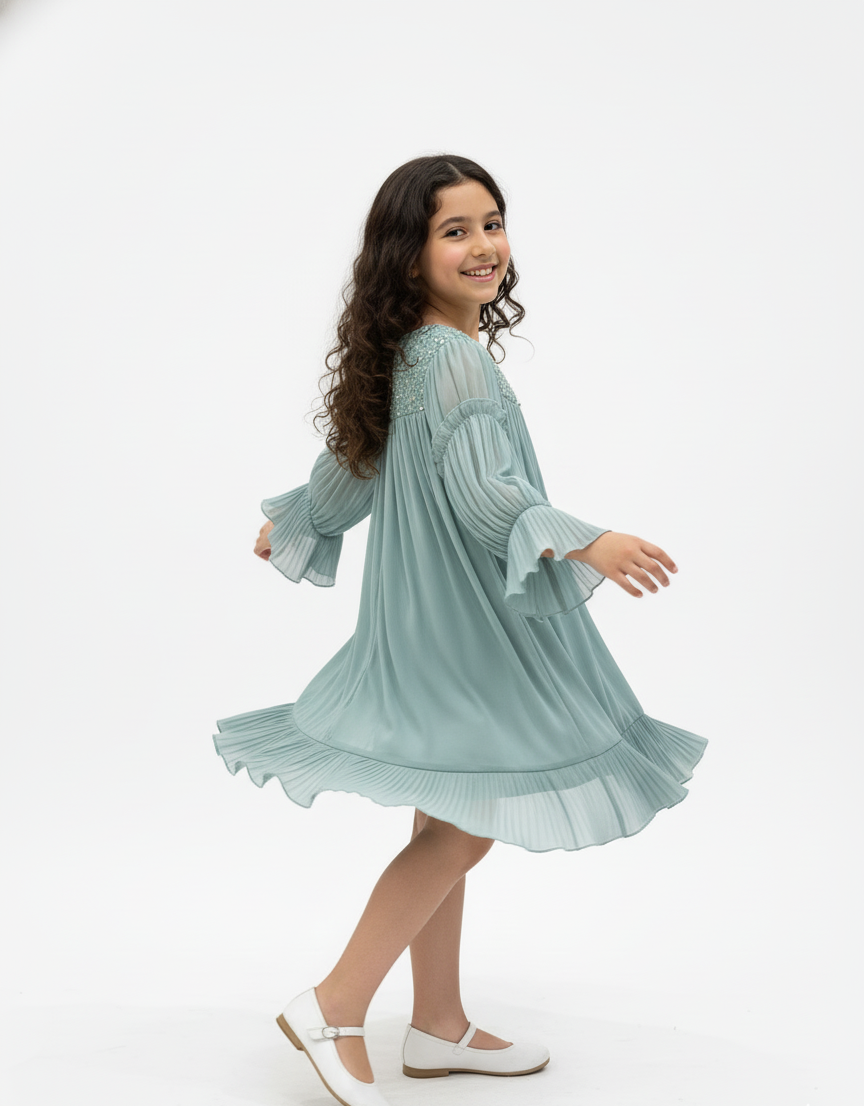 Embellished Pleated Party Dress