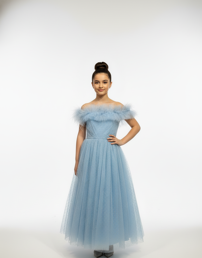 Off-Shoulder Feather Trim Tulle Gown