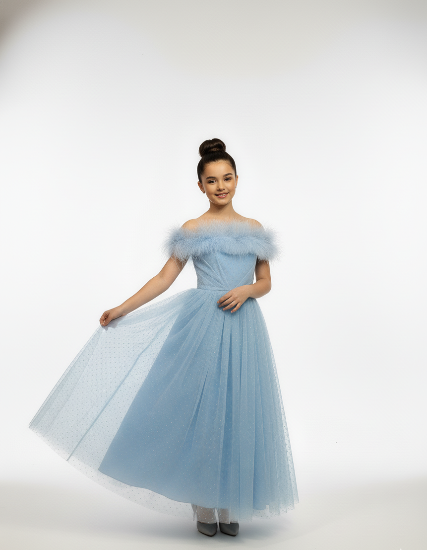 Off-Shoulder Feather Trim Tulle Gown