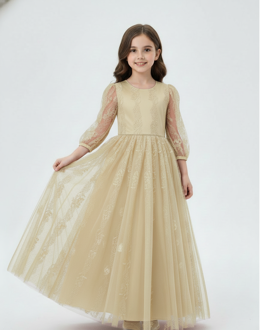 Embroidered Lace Tulle Princess Gown