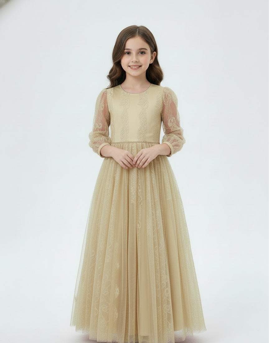 Embroidered Lace Tulle Princess Gown