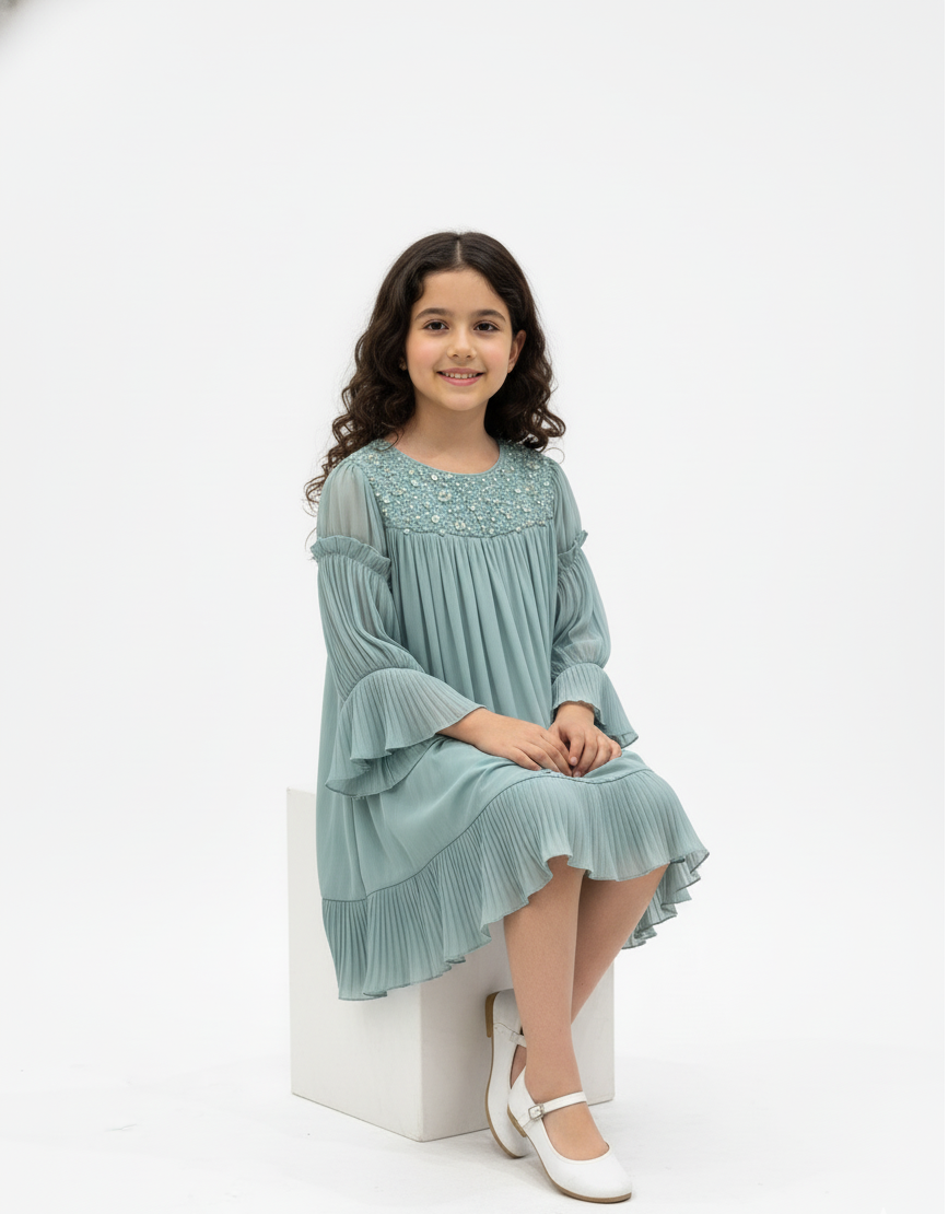 Embellished Pleated  Party Dress
