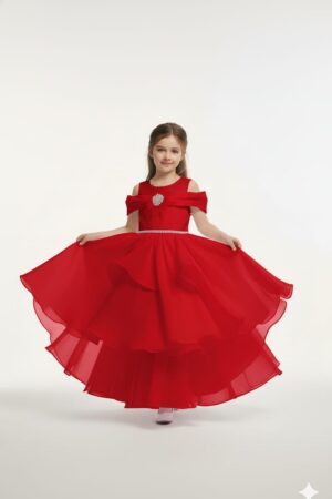 thereal Grace In  Organza frock