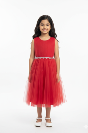 Tulle Embellished Party Dress